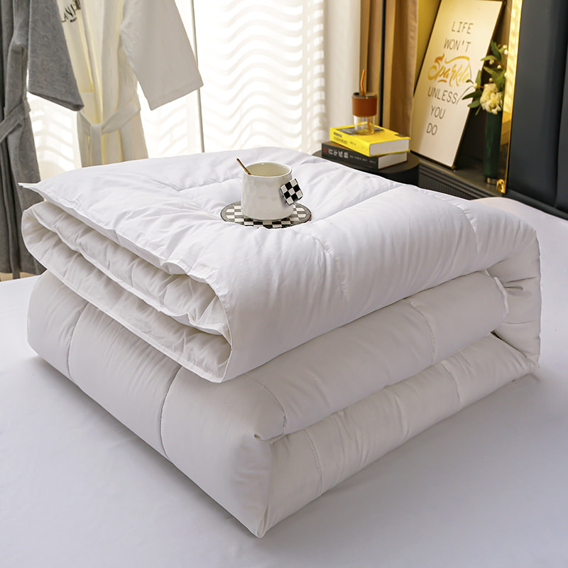 4-teilige Queen-Größe-Bambusfaser-Samt-Samt